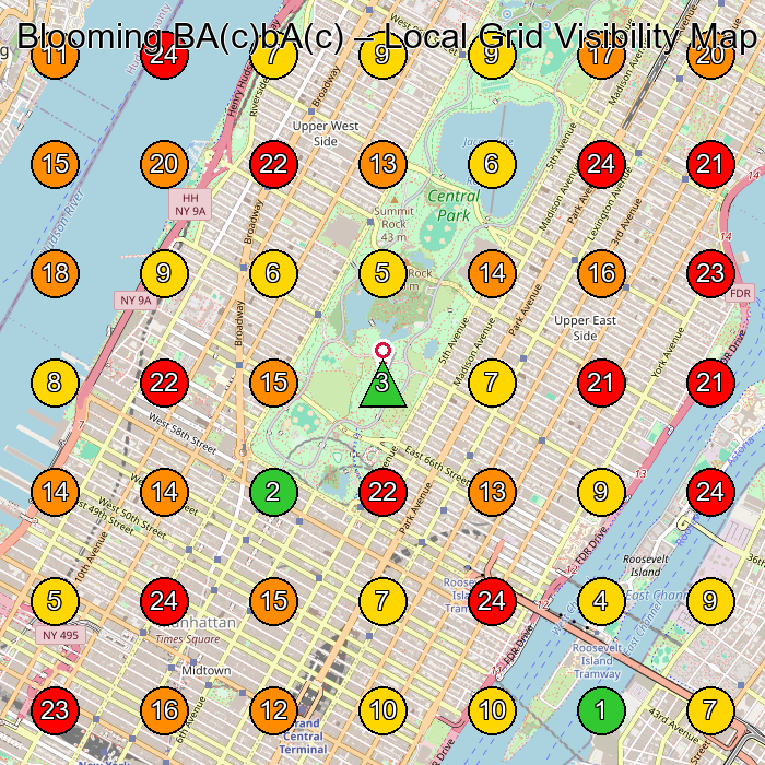Blooming BA(c)bA(c) Dance School GeoGrid ranking map for 246 Columbus Ave New
